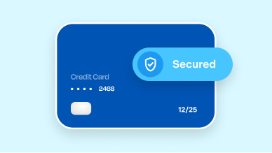 Credit card security icon