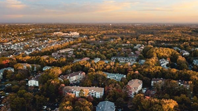 A overhead view with the horizon of a city nested among trees
