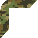 Decorative, stylized graphic colored in camouflage