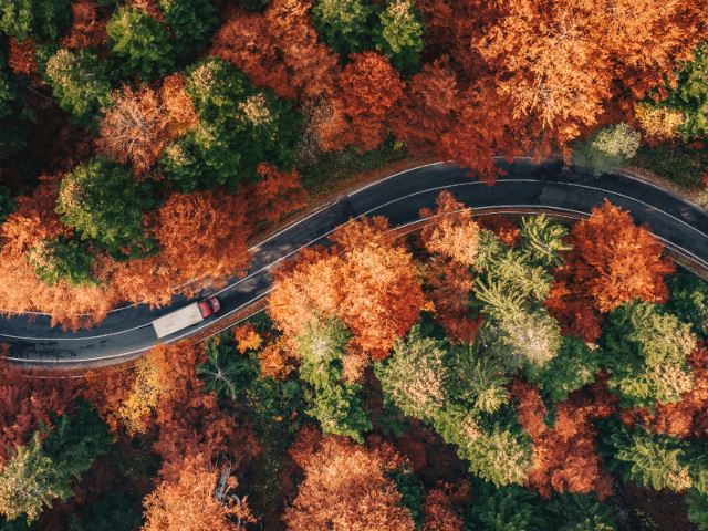 CAB Blog Masthead Image