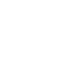 Blazer Electric-Reversed logo