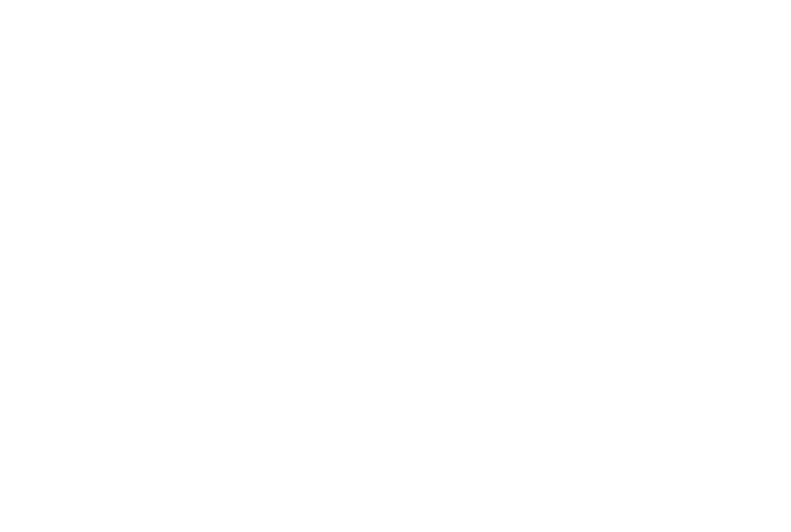Sunstate Equipment-Reversed logo