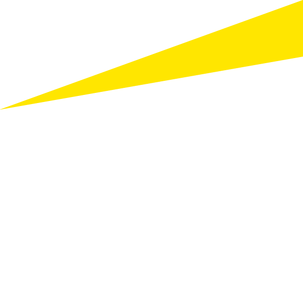 EY Logo