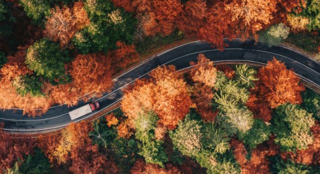 CAB Blog Masthead Image