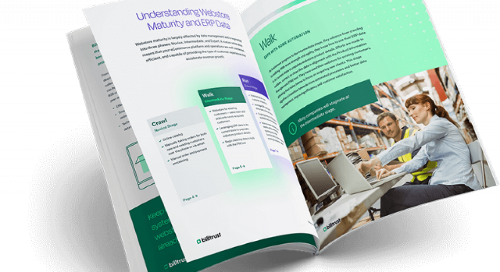 Webstore Maturity mock-up